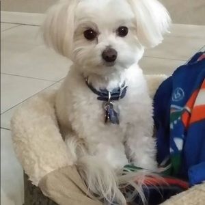 Meet your Posher, Desiree